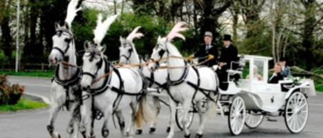 Kilvahan Horse Drawn Carriages image